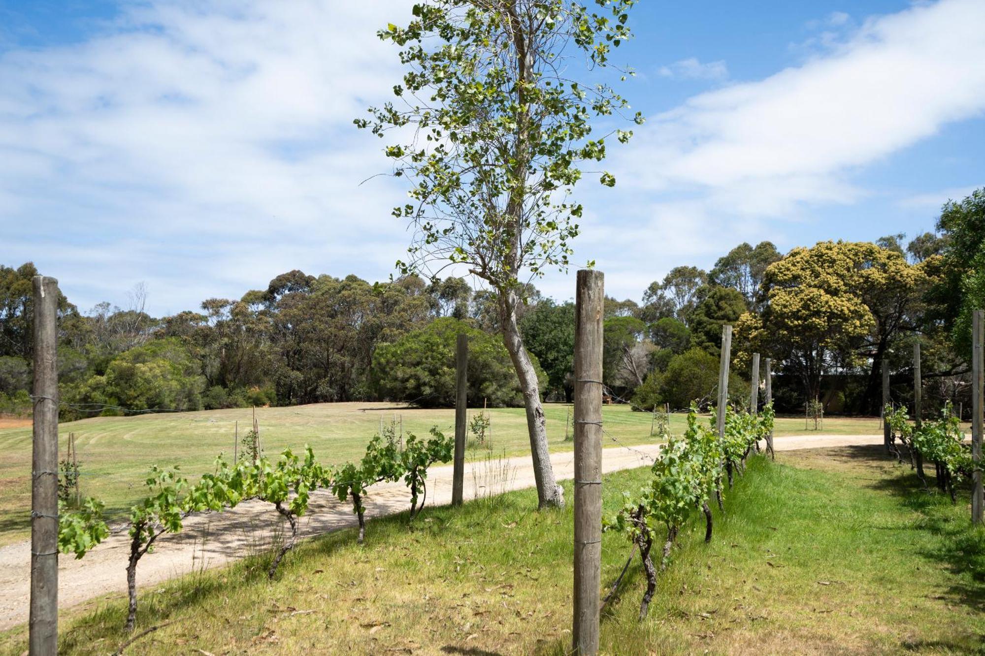 Bells Beach Cottages Bellbrae Eksteriør billede